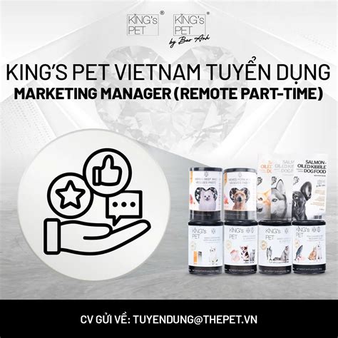 Tuyển dụng Marketing Manager – Remote, Part-time - King's Pet Vietnam
