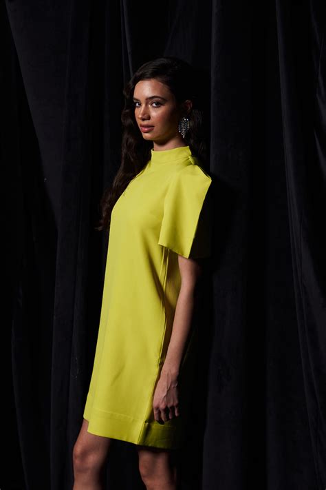 LEILA SOLID LIME GREEN COLOR KNEE LENGTH STRAIGHT FIT PARTY DRESS WITH ...