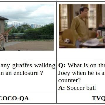 Image result for Frame Question Answer