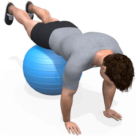 Image result for Push UPS Using Exercise Ball