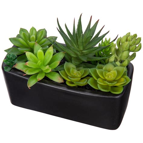 Artificial Mixed Succulents Plants in Black Ceramic Planter Assorted ...