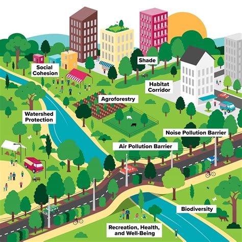 Why Do Urban Forests Matter? - Cities4Forests