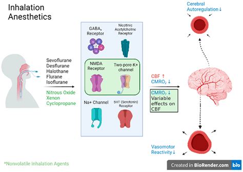 Neurosurgical Anesthesia: Optimizing Outcomes with Agent Selection