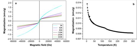 Magnetization 的图像结果