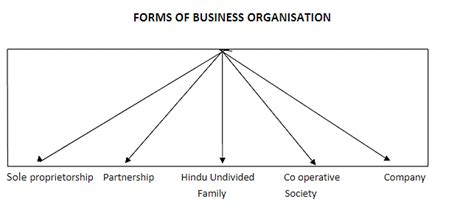 Forms of Business Organisation Chapter Notes - Business Studies (BST ...