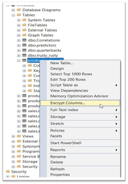 SQL Encrypt Strict 的图像结果