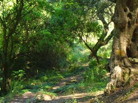 Corfu Walks and Hikes - 2022 What to Know Before You Go (with Photos ...