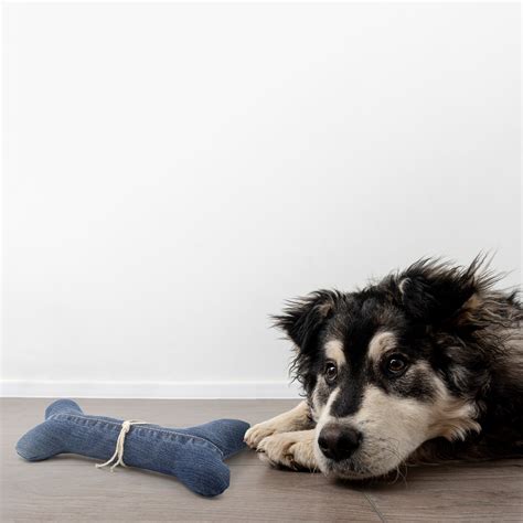 Denim Dasher - Plush Bone Toy for Dogs – Pets and People Co.