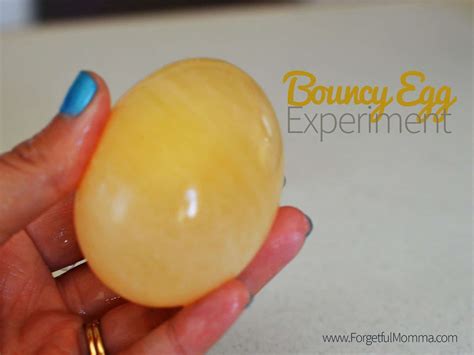 Bouncy Egg Experiment - Eggs in Vinegar - Forgetful Momma