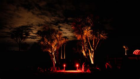 Omaka Observatory | Activities & Day Trips in Marlborough, New Zealand