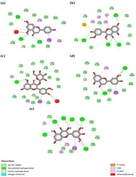 Biological Synthesis of Copper Nanoparticles Using Edible Plant Allium ...