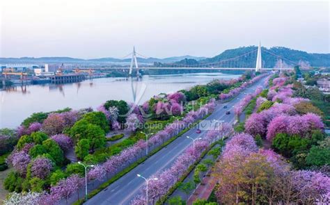 广西柳州工业城市白露工业园高清摄影大图-千库网