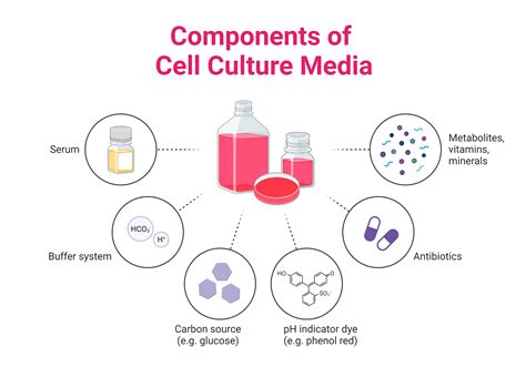 Cell Components 的图像结果