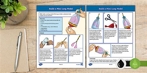 Human Body Experiment: Build a Mini Lung Model