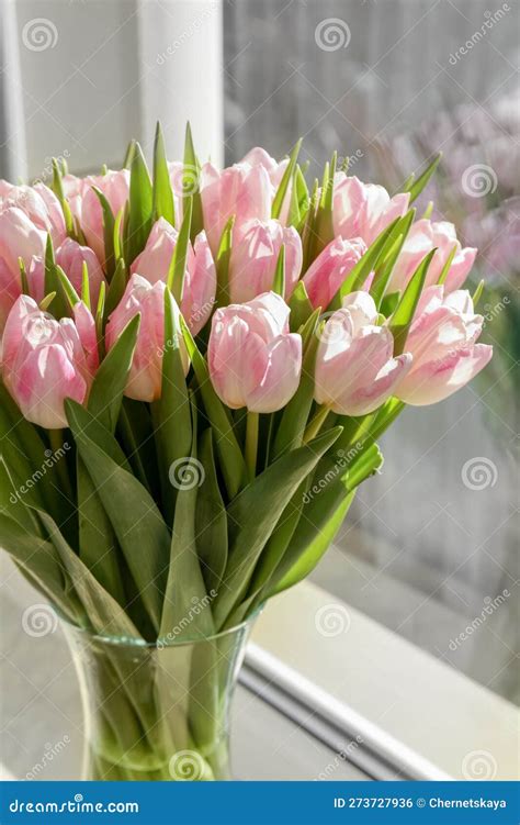 Spring is Coming. Bouquet of Beautiful Tulip Flowers in Glass Vase on ...