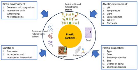 Terrestrial and Aquatic Plastisphere: Formation, Characteristics, and ...