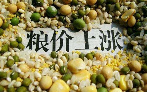 全球粮价连涨10个月！我国粮食进口量大涨400% 粮价不断跌为哪般？|全球|粮价-快财经-鹿财经网