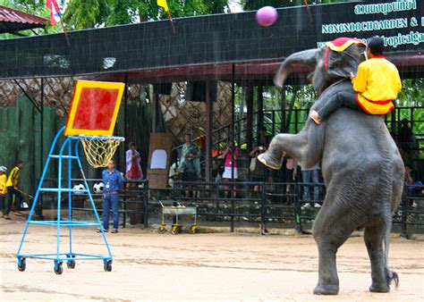 Thailand Tour Packages Start @ 𝟕𝟑,𝟎𝟎𝟎 – Book Online Now | Kesari