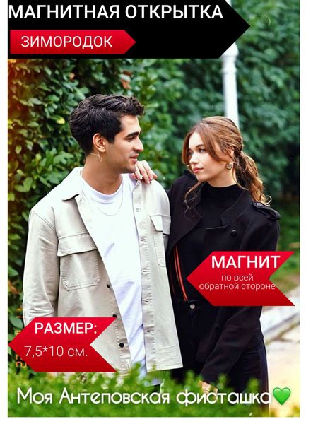 Открытки магниты по сериалу Зимородок, фразы из сериала Зимородок ...