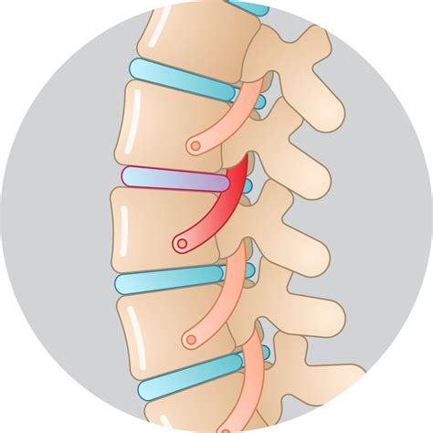 Services - Oklahoma Surgical Hospital