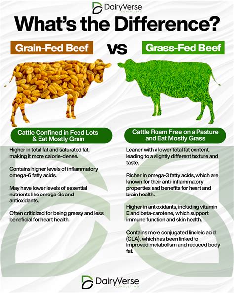 Grass-Fed vs. Grain-Fed Beef: What’s the Difference? - Dairyverse