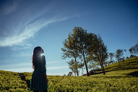 Picturesque spot at Green Nest | : : GreenNest
