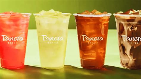 Panera Bread Drinks Menu With Prices Updated [ March 2025 ]