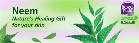 Buy BoroPlus Antiseptic And Moisturising Bathing Neem Soap With Neem ...
