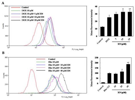 Experimental and Simulation Identification of Xanthohumol as an ...