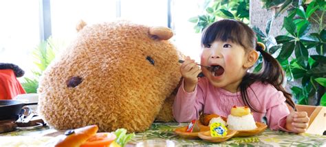 Image result for Coding of Java Table