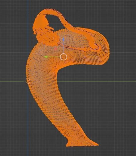 Image result for Reproductive System 3D Model