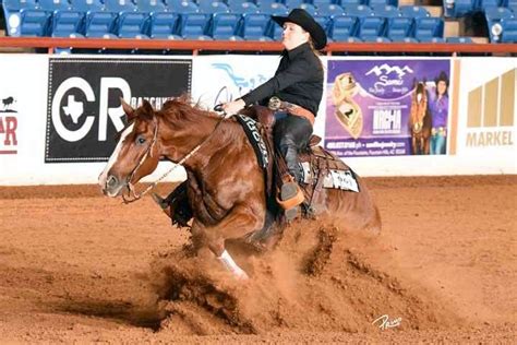 Reining Collection 的图像结果