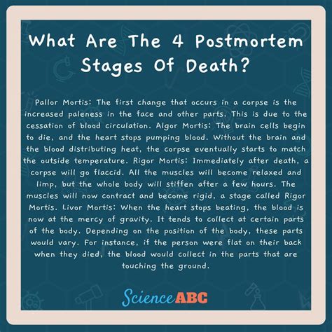 Stages Of Rigor Mortis