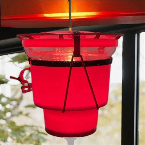 Heated Hummingbird Feeders for Outdoors, Hummingbird Feeder Heater for ...