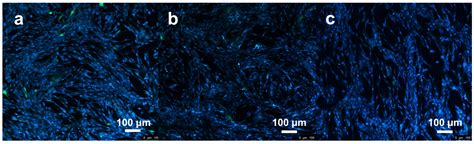 Study on Corrosion Resistance and Biological Properties of the Double ...