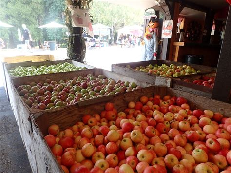 Best Local Guide To Apple Hill in Placerville, California | The ...