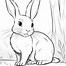 Image result for Super Cute Bunny