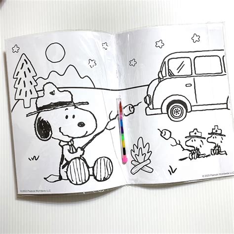 Image result for Snoopy Coloring Books Box