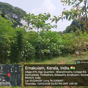 Zafin Goes Green: Cultivating ESG Values Through Urban Forestry – Grow ...