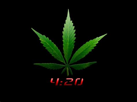 Conheça os mitos e a possível verdade sobre o 420 | Maryjuana
