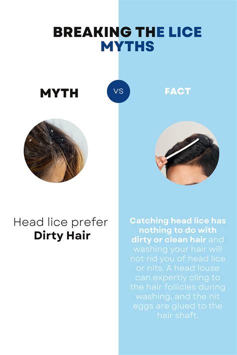 Surprising Truth: Does Washing Hair Actually Remove Lice