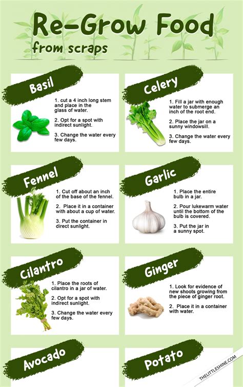 12 Different Types of Salt and How to Use Them - The Little Shine