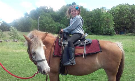 Charlotte · Copper Horse Crusade