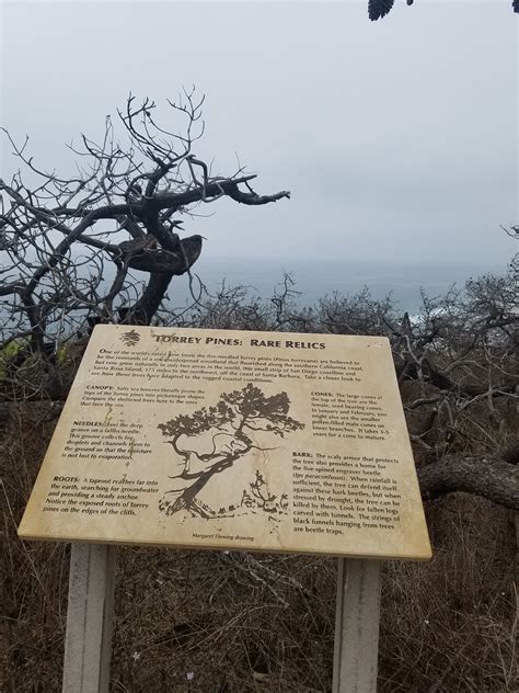 San Diego Hikes: Torrey Pines Guy Fleming Trail - Fun Diego Family