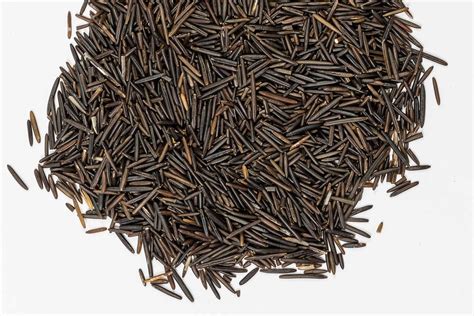 Growing Wild Rice – Floating Leaf Fine Foods