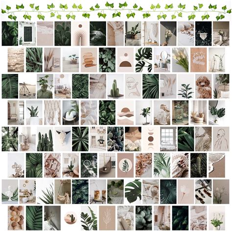 Hodyun 100pcs Boho Botanical Wall Collage Kit 4x6 Inch Artificial ...