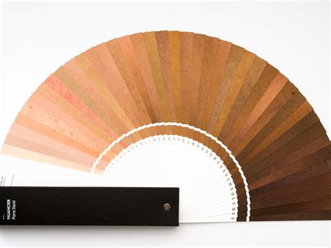 Image result for Skin Color RGB