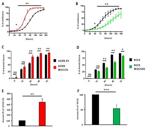 MUC1 Drives the Progression and Chemoresistance of Clear Cell Renal ...