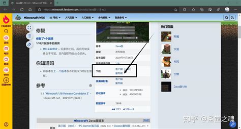 Minecraft Java Sever Tipps 的图像结果
