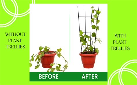 PulGos® Plant Trellis for Climbing Plants (Set of 3) | Plant Support ...